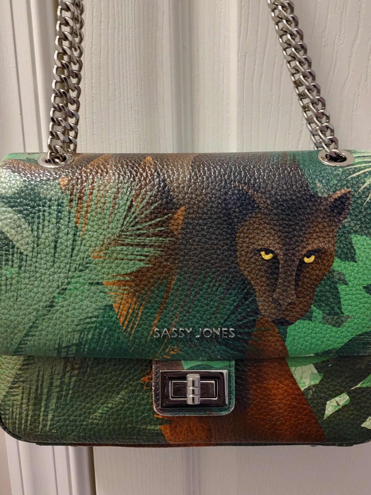Sassy Jones handbag