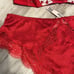 Victoria Secret set bustier & panty