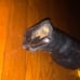DeWalt 18V Saw Cordless