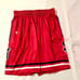 Under Armour St. John’s Red Storm Shorts