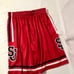 Under Armour St. John’s Red Storm Shorts