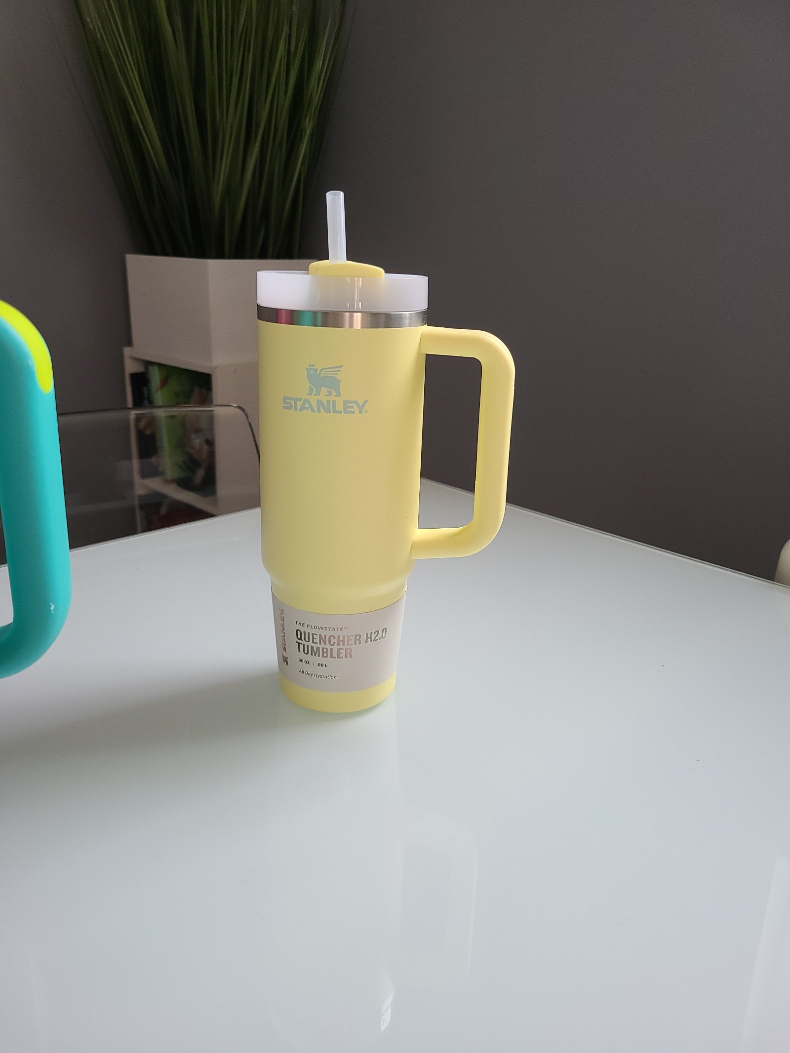 stanley 30 oz tumbler