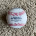 Jose Altuve Signed Autograph 2022 World Series Baseball Official Rawlings MLB