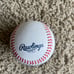 Jose Altuve Signed Autograph 2022 World Series Baseball Official Rawlings MLB