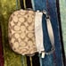 Coach bag cosmetic bag