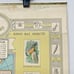 Vtg 30s Arm & Hammer Birds Nature's Protector Poster Advertising Store Display