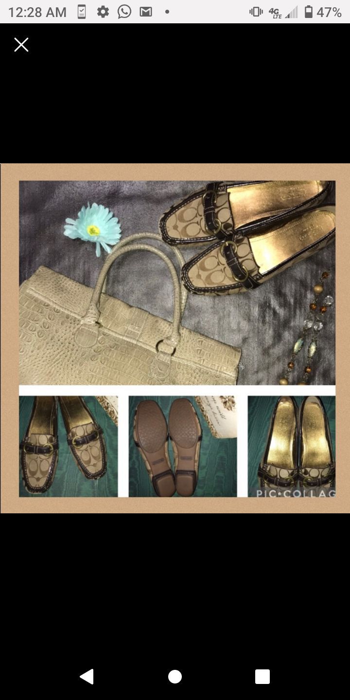 Coach (Sharing) signature loafers