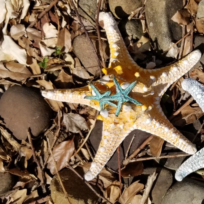 Mermaid Starfish Earrings with Colorful