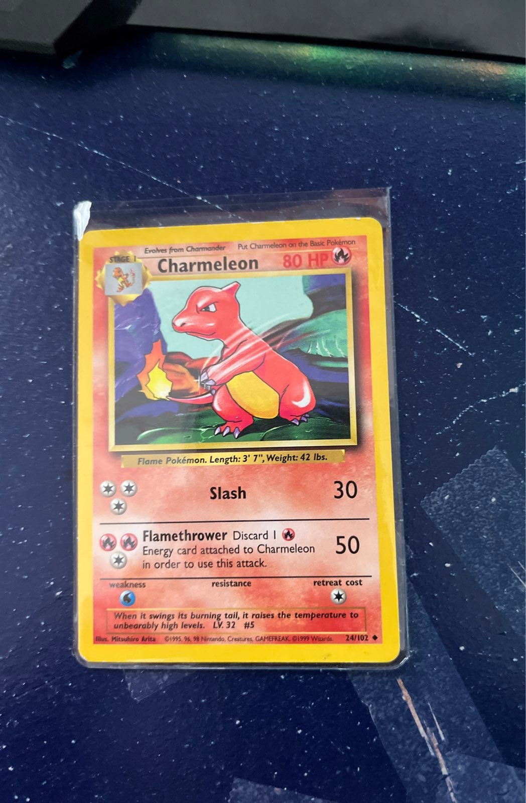 1995 charmelon