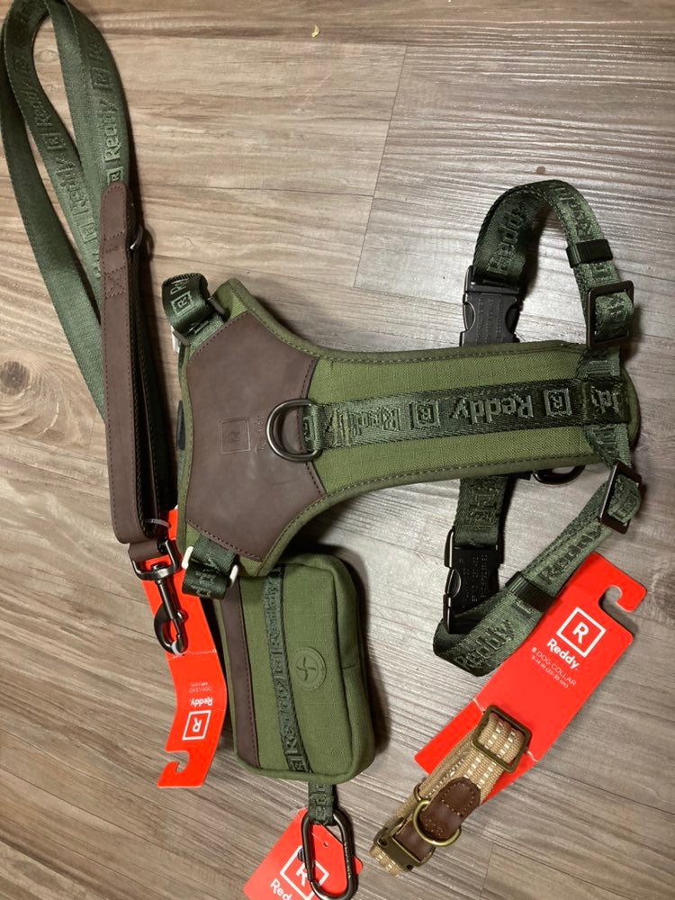 Reddy by Petco bundle