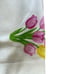 8pc Rachel Ashwell THE FARMHOUSE Cotton Napkins 18x18 Embroidered Tulips New