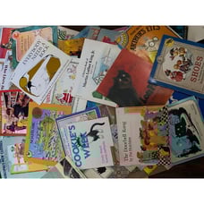Mixed Random 40 Children Paperbacks Classroom Teacher Kids Books