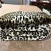 Animsl Print Pet Crate Pad & Bumper