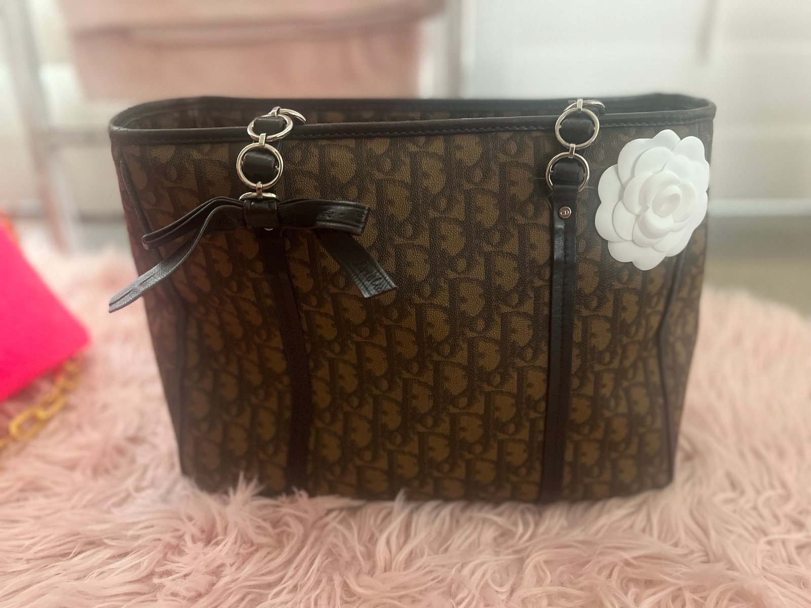 Christian dior trotter tote