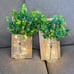 Rustic Wall Sconces, Mason Jar Sconces, Farmhouse Home Decor, 2 Pack