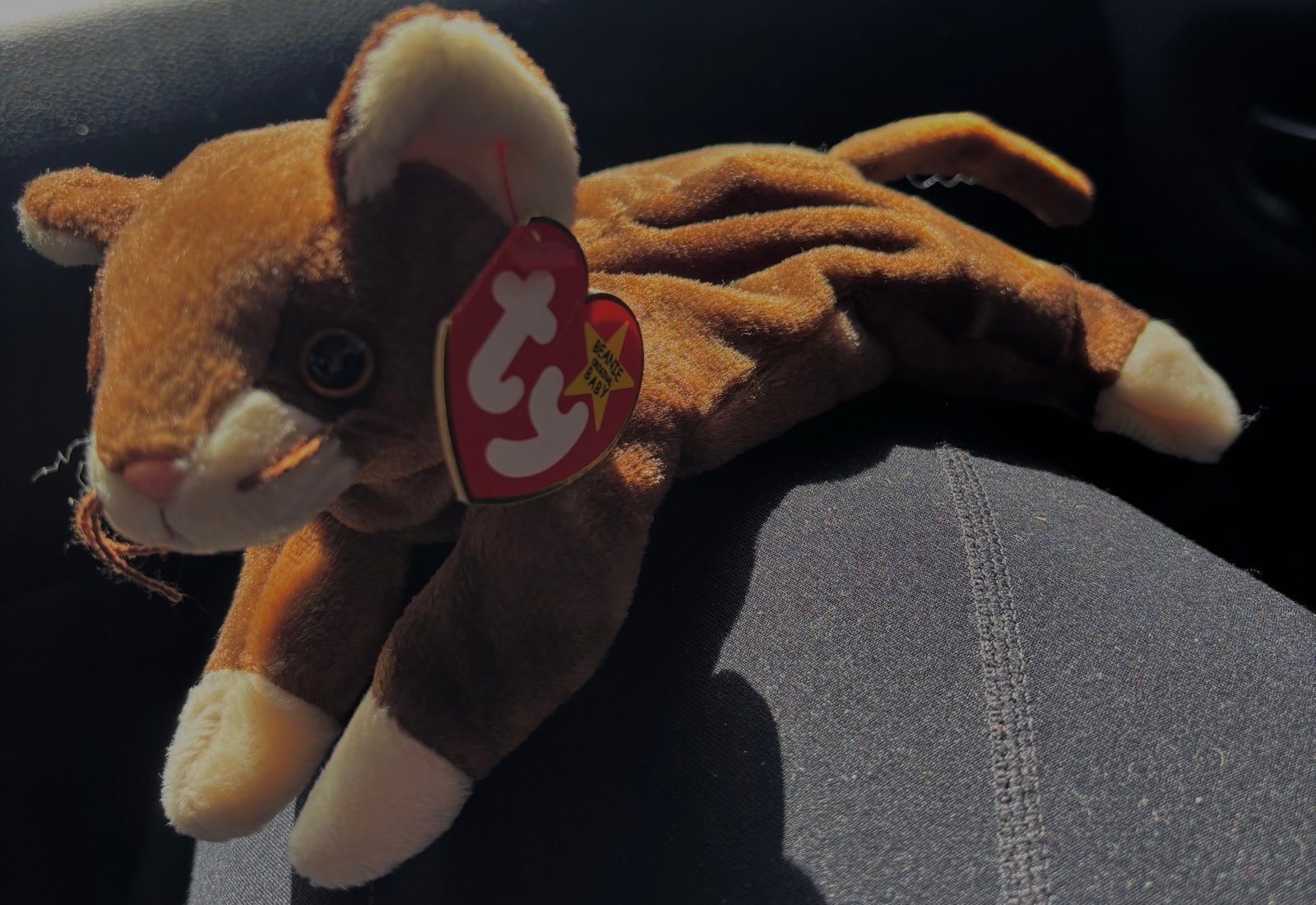 Ty Beanie Babies