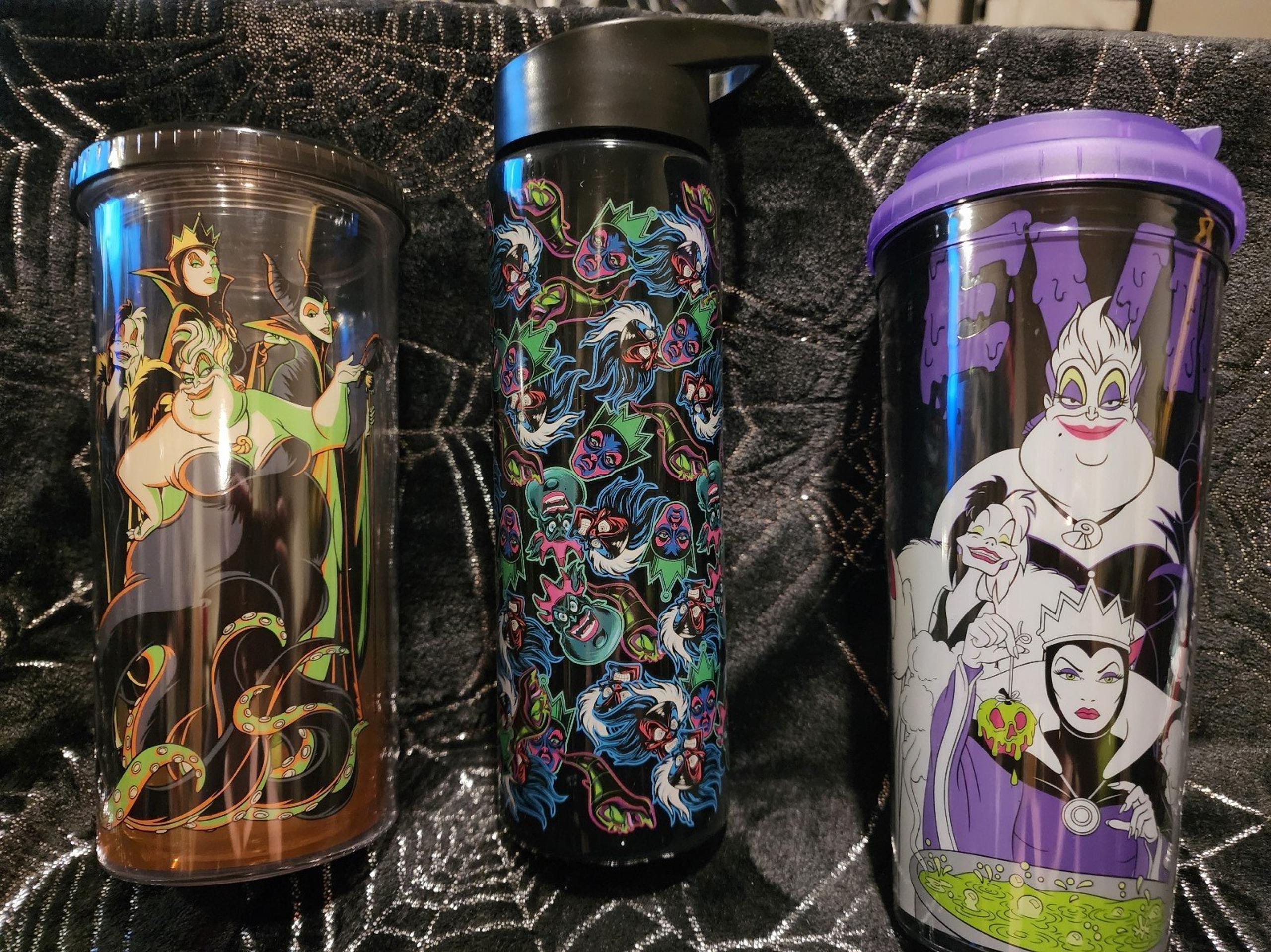 Disney Villain Tumbler/Water Bottle Set