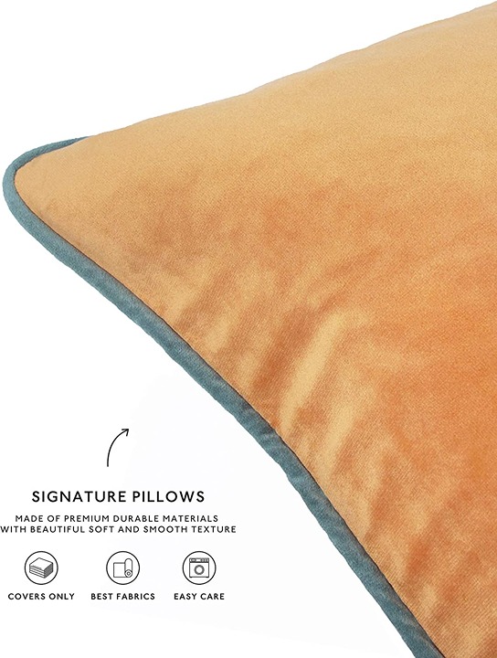 4 Packs Soft Velvet Double-Sided Designs Throw Pillow Covers store 18x18 inch