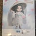 Heaven Official's Blessing Hua Cheng and Xie Lian Nendoroid Dolls