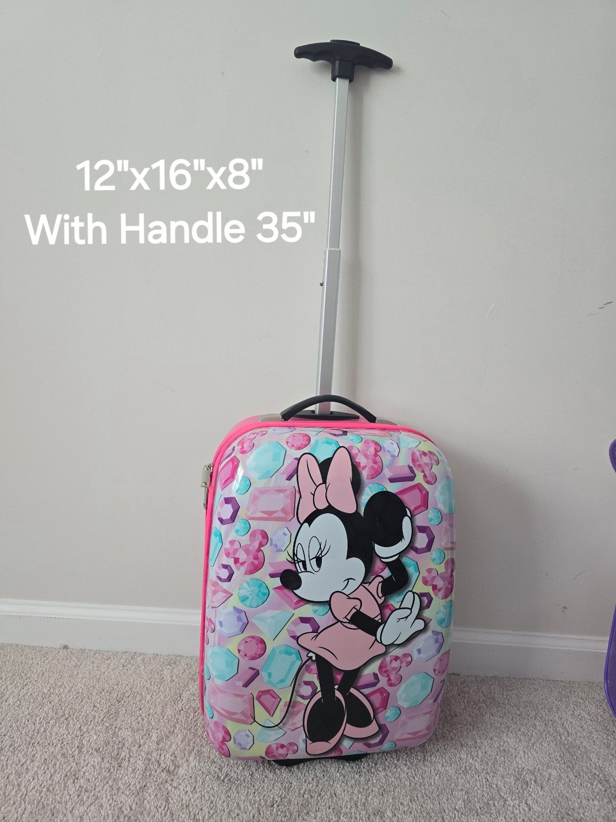 minnie mouse luggage