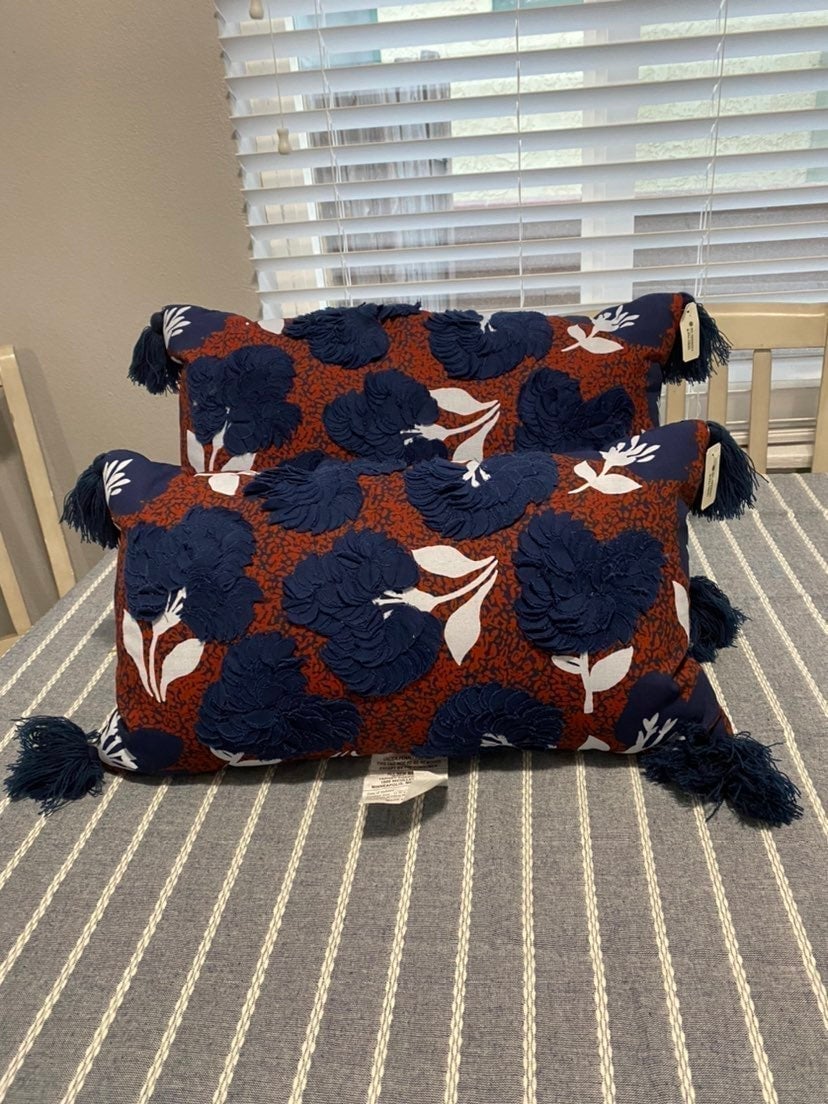 Two Opalhouse Toss Pillows