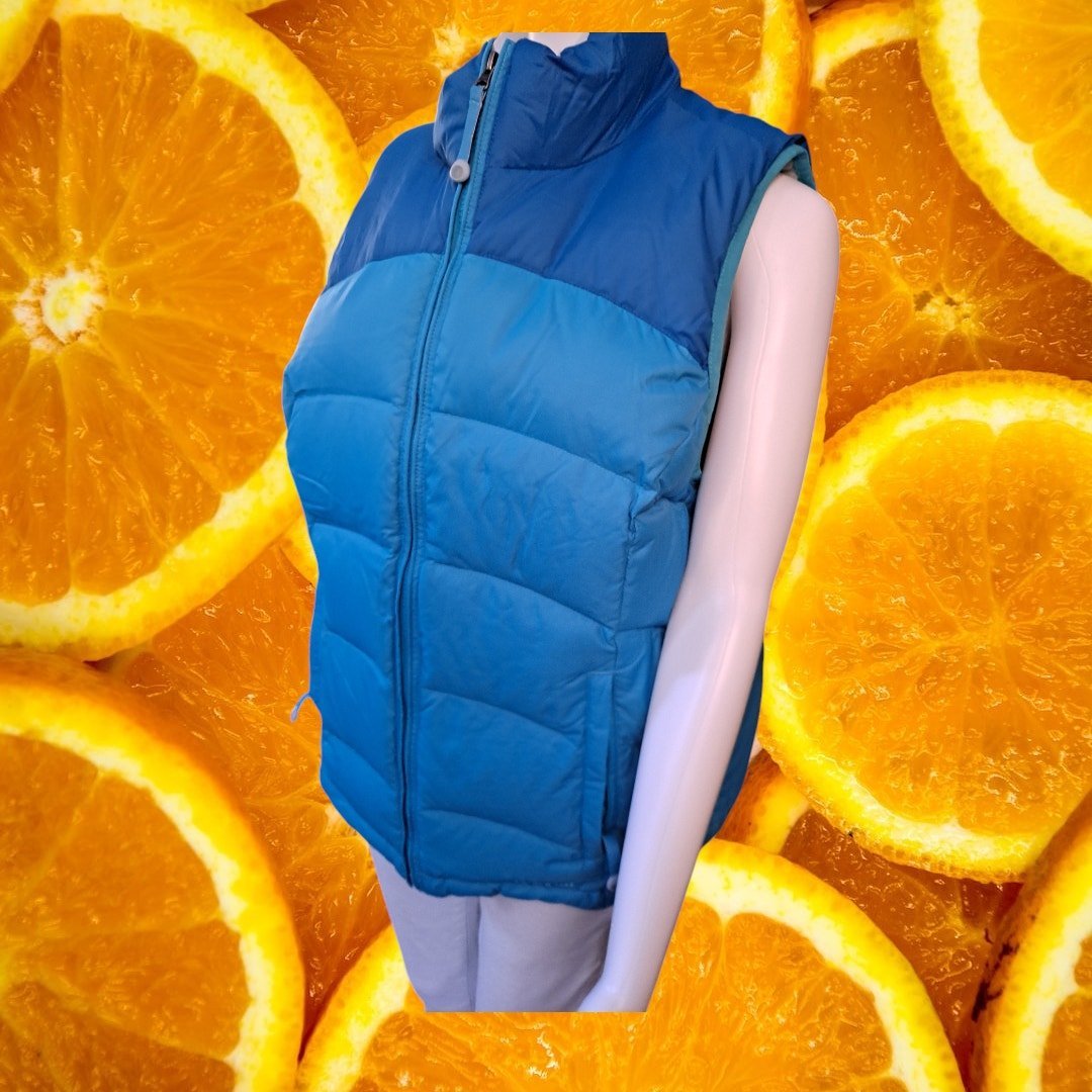 L.L. Bean Men's Blue Colorblock Nylon Full-Zip Goose Down Puff Vest Size L