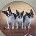 danbury mint terrior plate collection