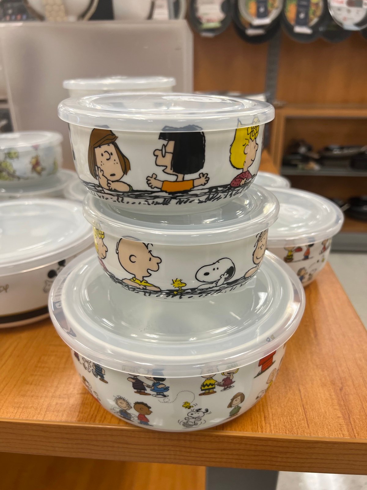 Peanuts Snoopy Food Safe Containers with Lids