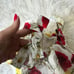 DG ruffle dress