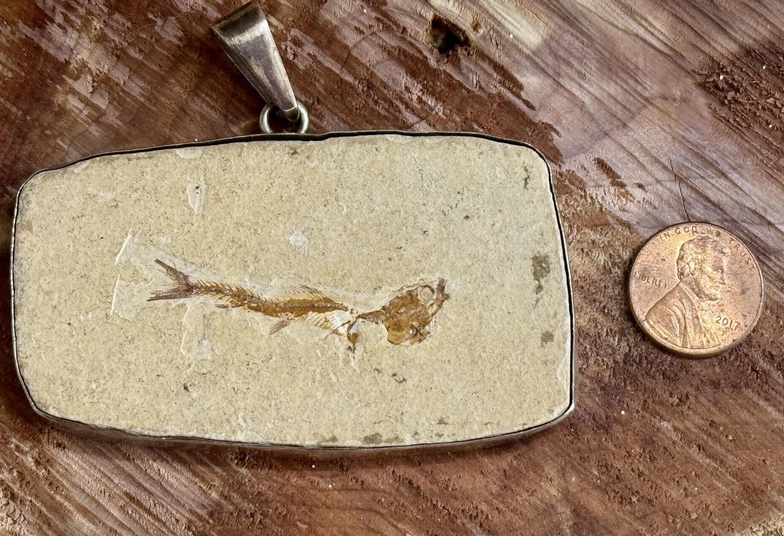 Charles Albert Fine Sterling Silver Fish Fossil Large Pendant
