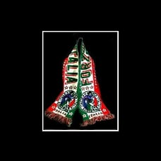 New Forza Italia Soccer Fan Scarf
