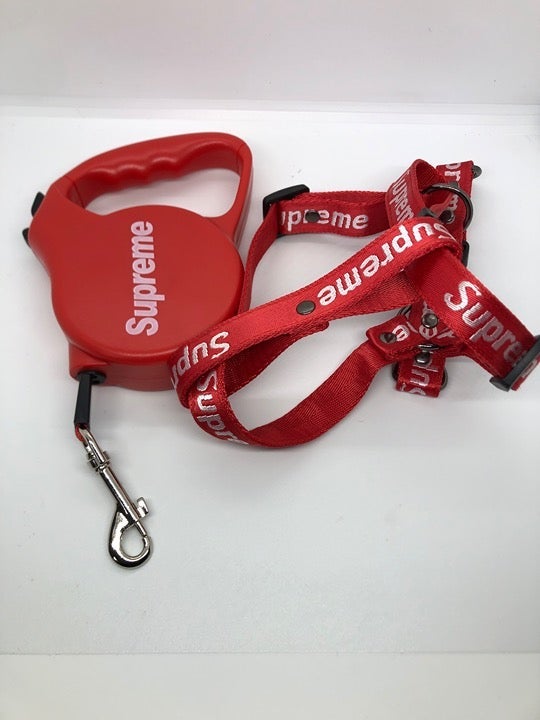 Retractable Leash and Harness Set (Red)