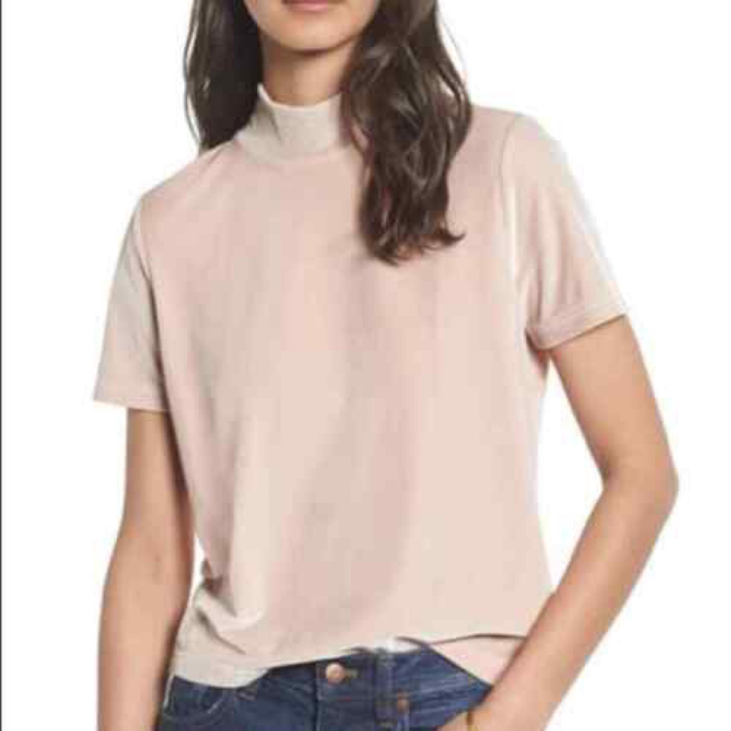 Madewell Velvet Mockneck Tee Pale Pink Sz Large