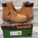 Timberland 6-Inch Premium Waterproof Boot (Women and/Little/Big Kid)Wheat Size 4
