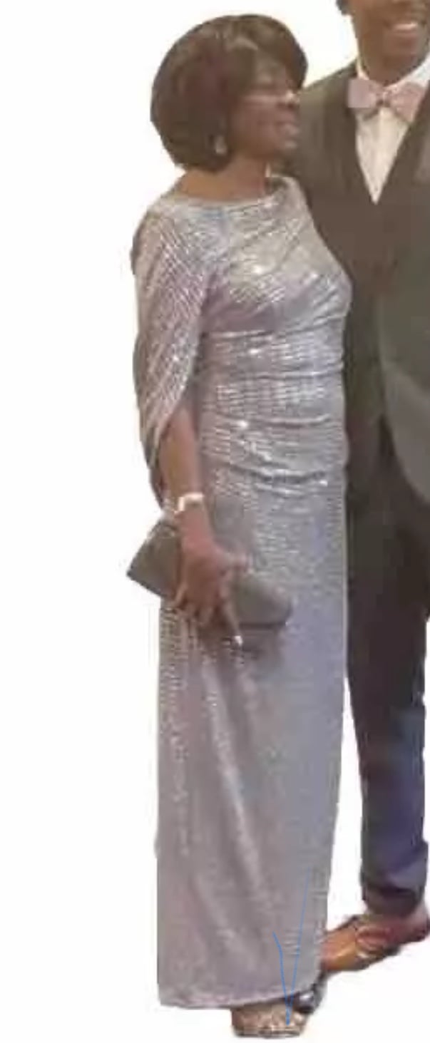 Silver Gown