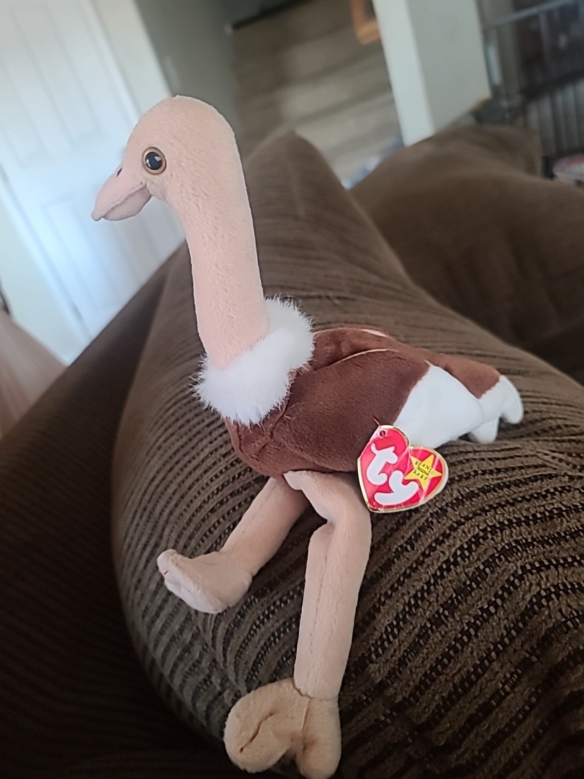 Stretch the Ostrich