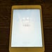 iPad mini 1st generation White & Silver