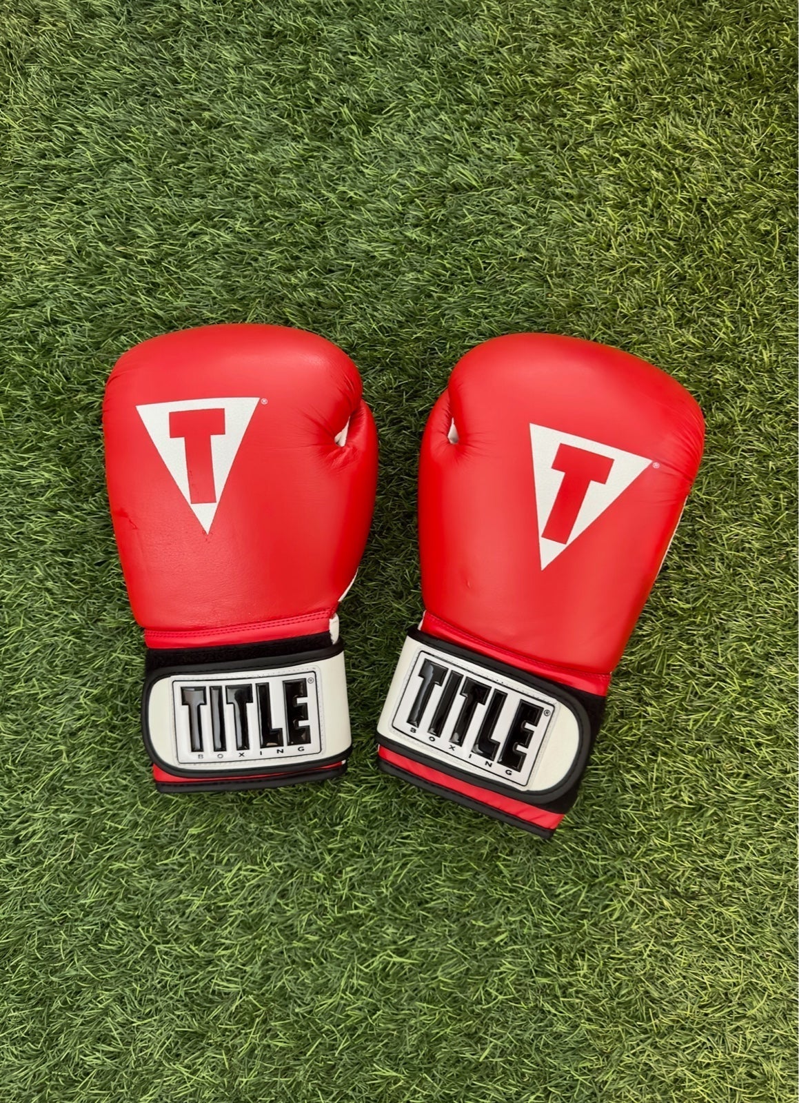 TITLE Boxing Gloves