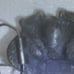 Vtg ENGINE BELT BUCKLE, LIMITED EDITION 1979 Great American Belt Buckle Company