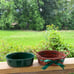 Casserole dishes