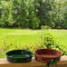 Casserole dishes