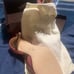 women shoes size 10