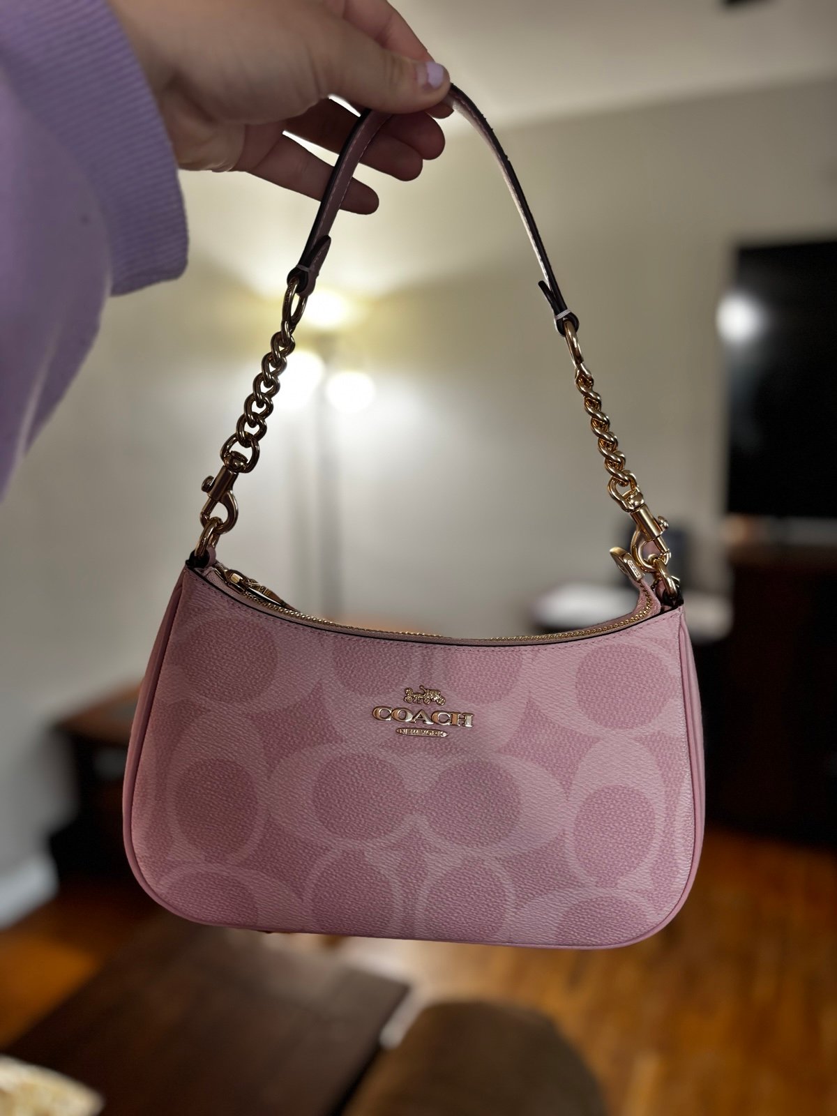 Coach Teri shoulder bag
