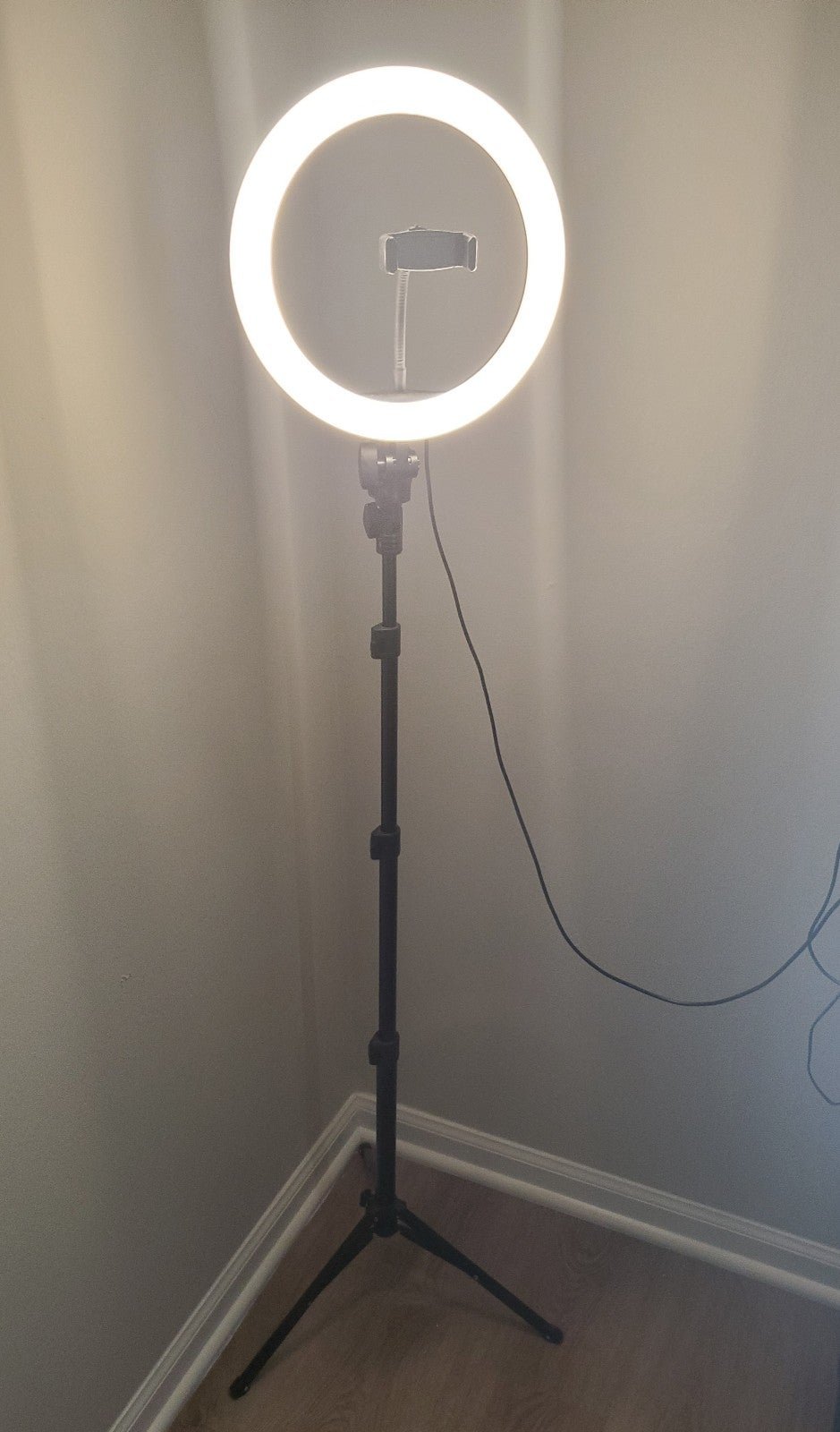 10 Selfie LED Ring Light