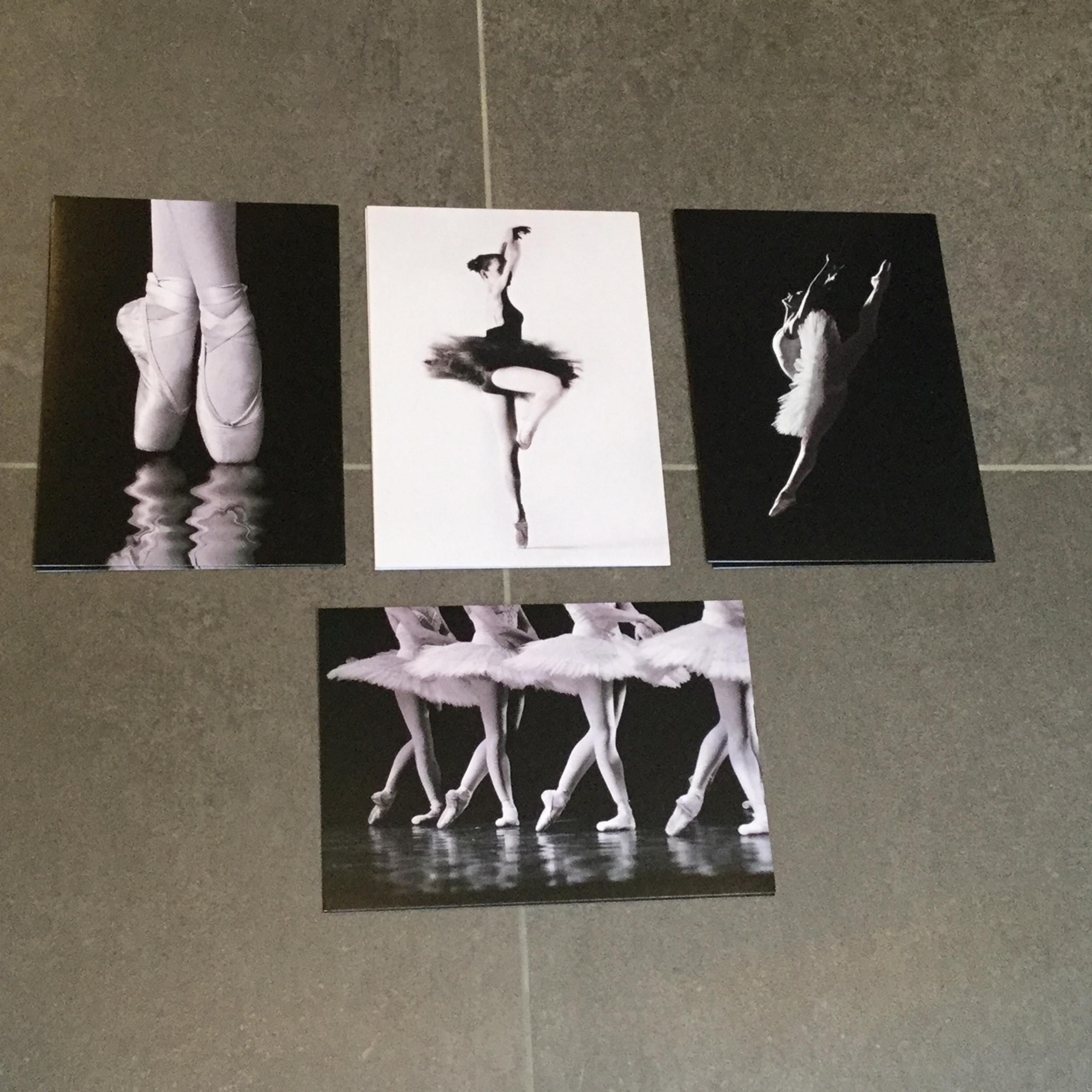 Elegant Papyrus black and white ballet notecards