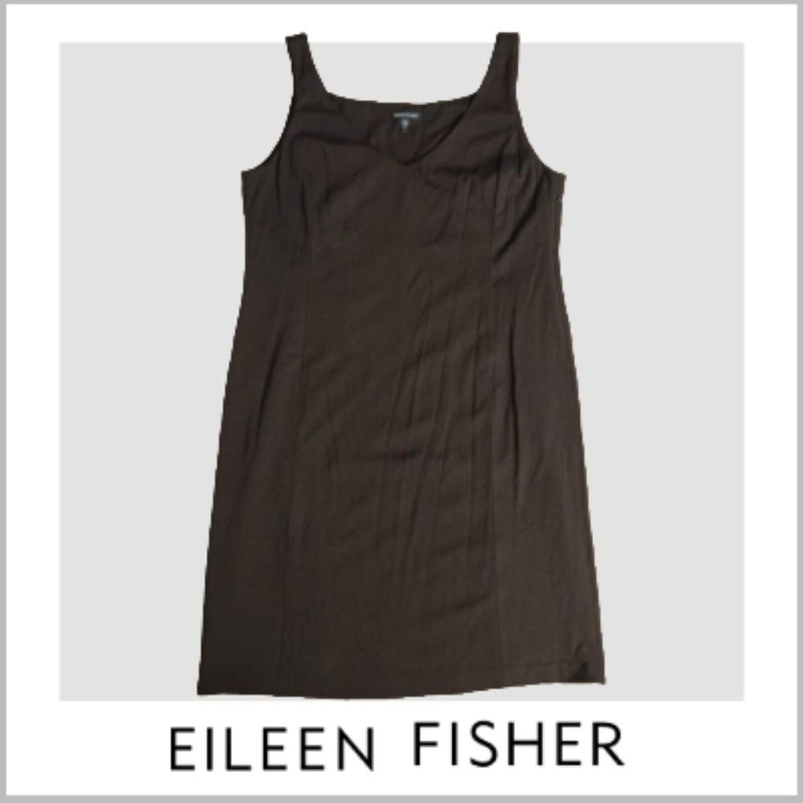 Womens Eileen Fisher Dress side zip silk lining Minimalist | brown | Sz: L
