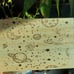 Star Gazing Box Laser Burned