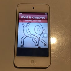 apple iPod touch (4th generation) 32GB disabled
