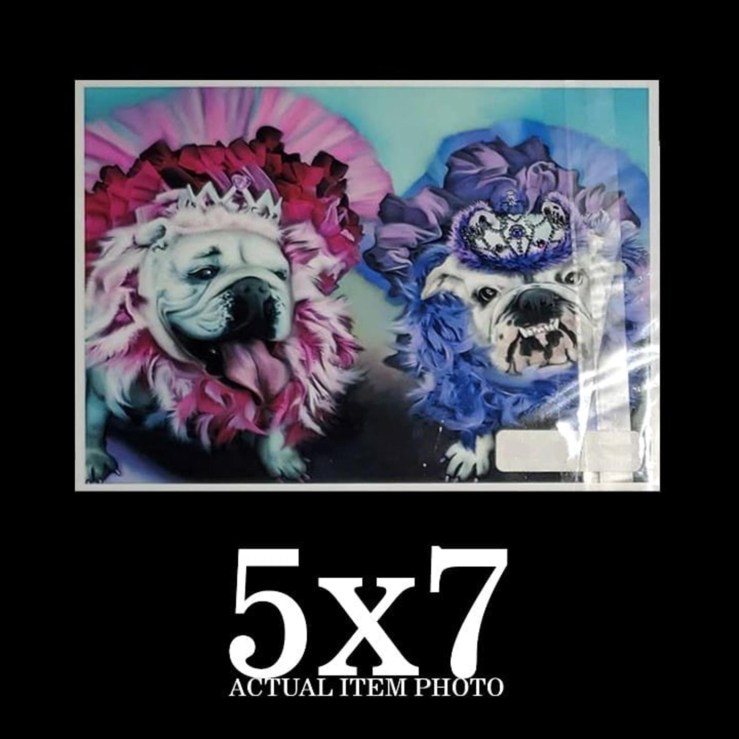 2 English Bulldogs Bullies EBD in Boas & Crowns Print  5x7