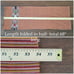 NEW Bhuttico Hand Woven Wool Kullu Muffler Shawl Scarf Wrap- Multicolor 68 Long